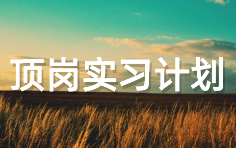 个人顶岗实习计划书(通用22篇)