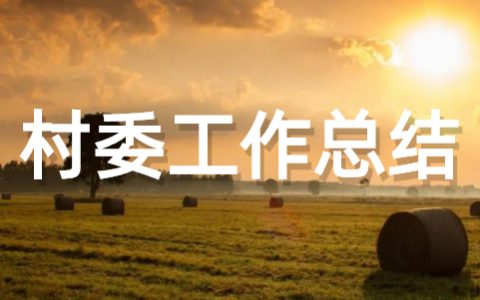 村委会2025年工作总结 村委会工作总结完整版