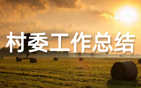 村委会2025年工作总结 村委会工作总结完整版