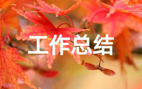 元旦晚会学生会工作总结（精选20篇）