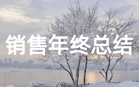 房产销售年度总结报告 房产销售年度总结