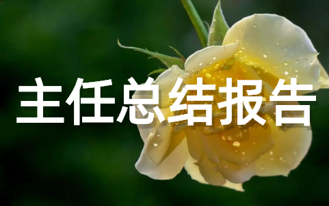 村主任工作总结报告(通用16篇)