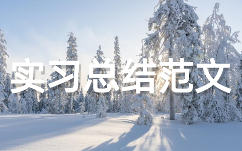 实习总结范文大全（通用22篇）