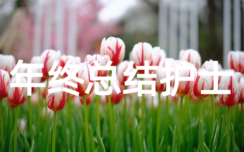 年终总结护士 护士个人年终工作总结