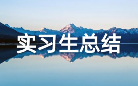 实习生个人总结范文 实习工作总结大全