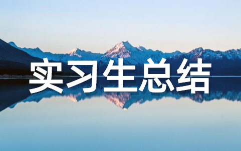 实习生个人总结范文 实习工作总结大全