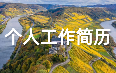 个人工作简历模板大全(精选23篇)