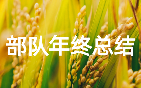 部队的年终总结 部队个人年终总结