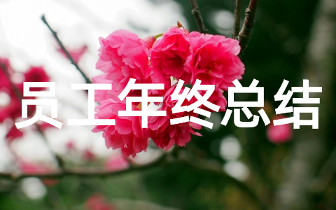 银行员工年终总结 银行员工年终总结范文大全