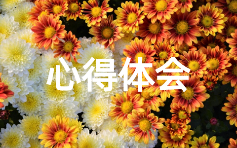 2025双十二客服个人工作心得体会（精选21篇）