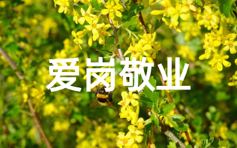 2025企业爱岗敬业演讲稿范文大全（精选23篇）