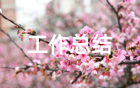 2025双十二活动促销工作总结范文(通用22篇)