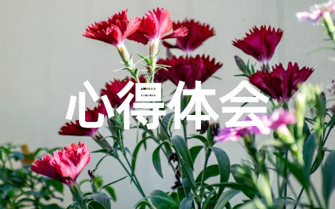 关于法制教育心得体会范文大全（精选23篇）