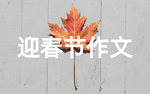 关于2025迎春节作文500字左右大全（通用22篇）