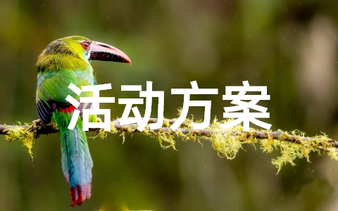 班级活动实施方案设计模板 策划一个班级活动方案