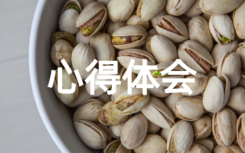 大学生社会实践心得体会感悟范文大全(精选24篇)