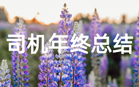 司机个人年终总结范文大全 司机年度考核个人总结