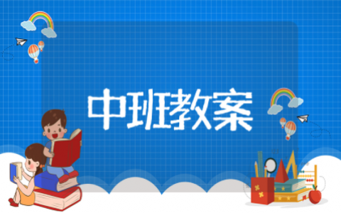 中班《我会整理物品》教案及反思（精选22篇）