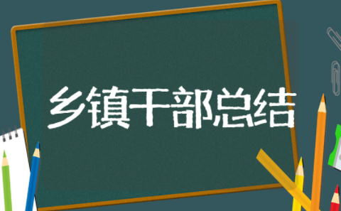 乡镇干部年终总结 基层干部工作总结