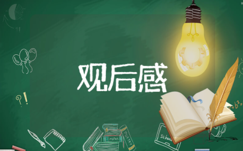 《交换人生》观后感 交换人生感悟心得