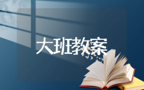 明亮的眼睛大班教案设计意图 大班健康活动明亮的眼睛公开课教案及反思