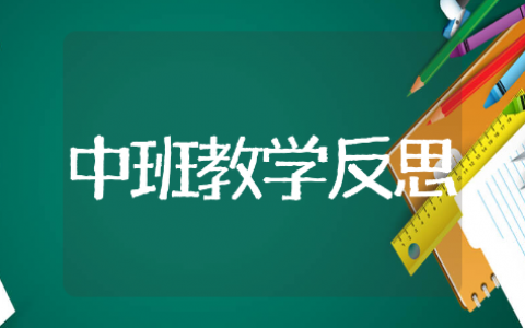 幼儿园中班教学反思精选模板 幼儿园中班教学反思通用范文