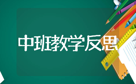 幼儿园中班教学反思精选模板 幼儿园中班教学反思通用范文