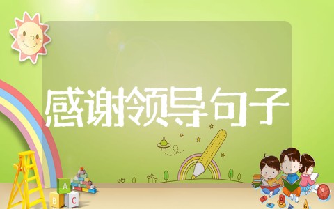 感谢领导指导的高级句子 高情商表达感谢领导的话语