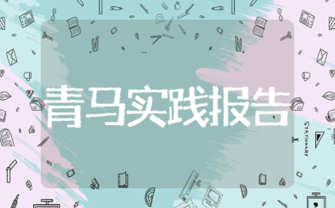 青马实践报告2000字大学家乡文化 青马心得体会2000字大学生
