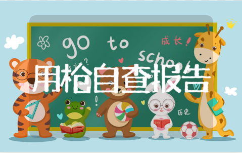 派出所公务用枪管理自查自纠报告 公务用枪情况汇报与说明