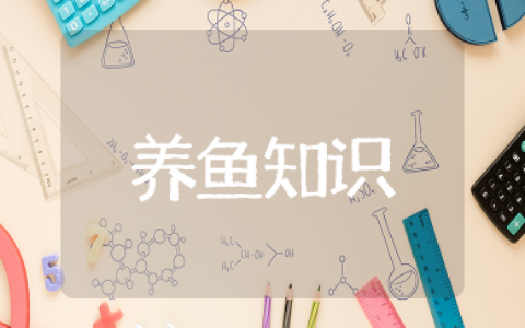 养鱼知识必备大全 关于养鱼的有关知识