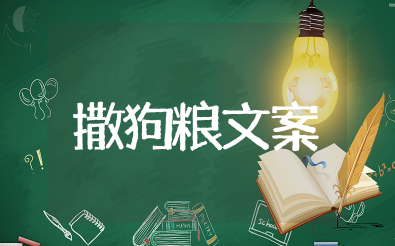 (高级版)情侣低调撒狗粮句子大全