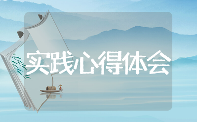 执行局实践心得体会范文 执行局实践报告模板