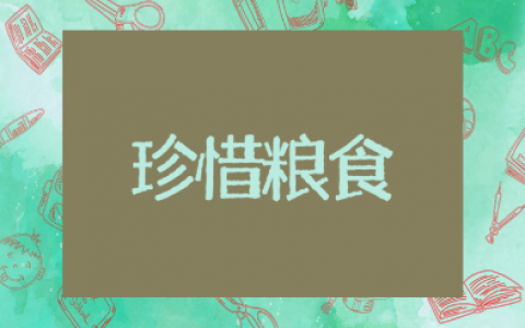 珍惜粮食主题班会教案通用模板 节约粮食活动策划设计方案