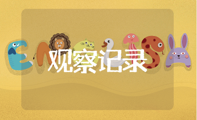 园长入班观察记录表范文 幼儿园园长进班观察指导报告模板