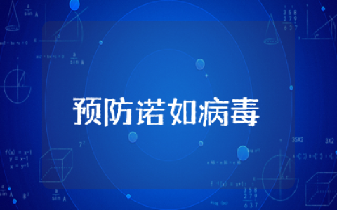 预防诺如病毒主题班会总结精选（二十四篇）