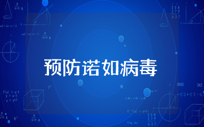 预防诺如病毒主题班会总结精选（二十四篇）