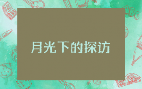 《月光下的探访》读后感范文精选