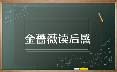 《金蔷薇》读后感2000字左右范文（精选11篇）