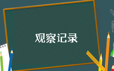 《成长的秘密》锡坤扔鞋观察记录 《成长的秘密》锡坤行为观察记录分析
