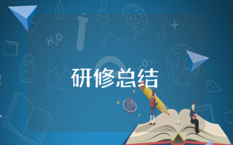 个人研修总结报告 研修总结范文模板