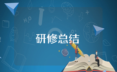 个人研修总结报告 研修总结范文模板
