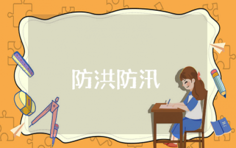 防洪防汛工作总结 抗洪防汛工作汇报范文