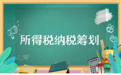 个人所得税纳税筹划总结精选  个人所得税纳税筹划分析总结