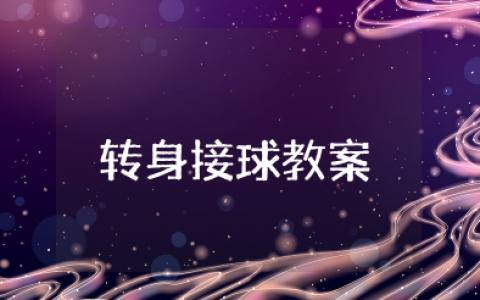 大班体育《转身接球》教案及反思总结 幼儿园转身接球户外活动教案