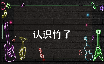 《认识各种各样的竹子》大班教案汇总 《认识竹子》优秀教学设计