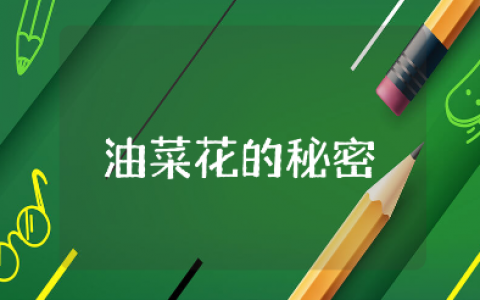 《油菜花的秘密》中班教案汇总 《油菜花的秘密》幼儿园教学设计大全