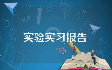 实验实习报告模板 实验报告实训小结