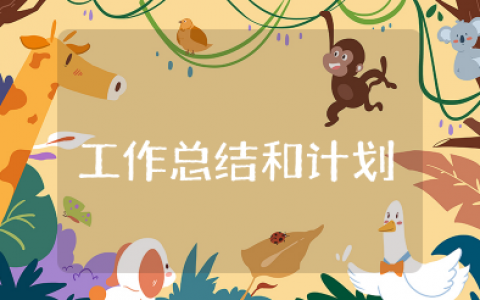 工作总结和计划 个人工作总结计划范文