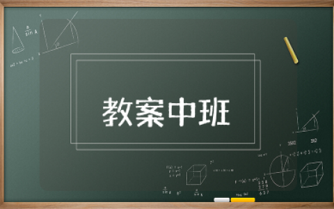 树叶形状多教案中班 中班主题树叶教案
